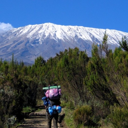 Kilimanjaro Rongai