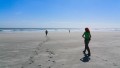 Cape farewell