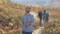 viaggio in Iran con kailas