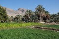 viaggio in Oman