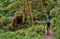 Nepal Naarphu e Chulu