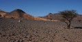 Marocco deserto