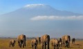 Kilimanjaro Rongai