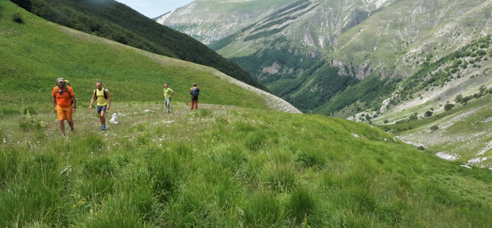 Sibillini