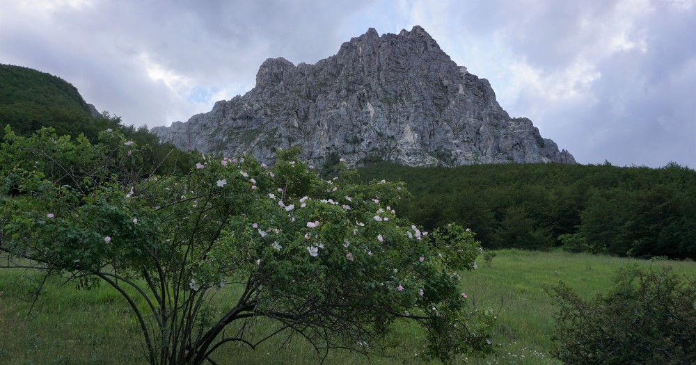 Sibillini