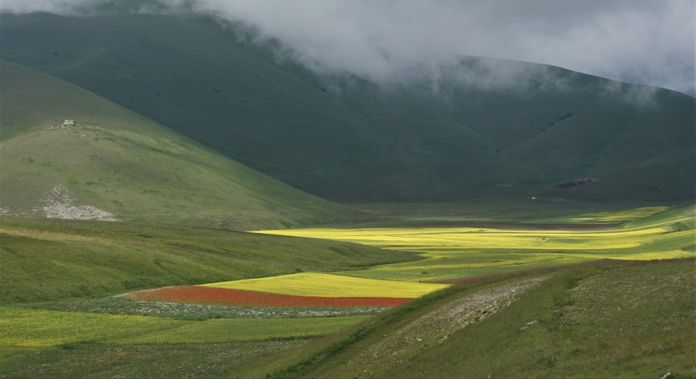 Sibillini