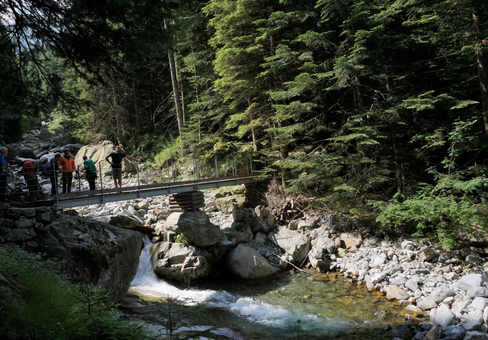 Trekking Retico