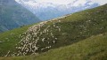 Trekking Retico
