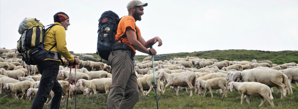 Trekking Retico