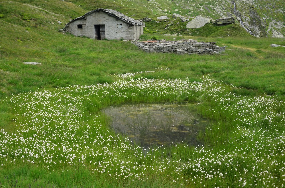 Trekking Retico