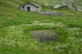 Trekking Retico