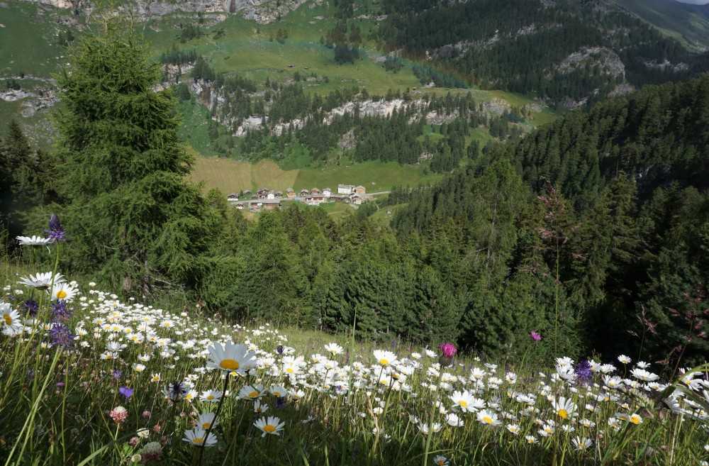 Trekking Retico