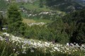 Trekking Retico