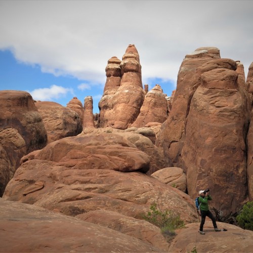 arches