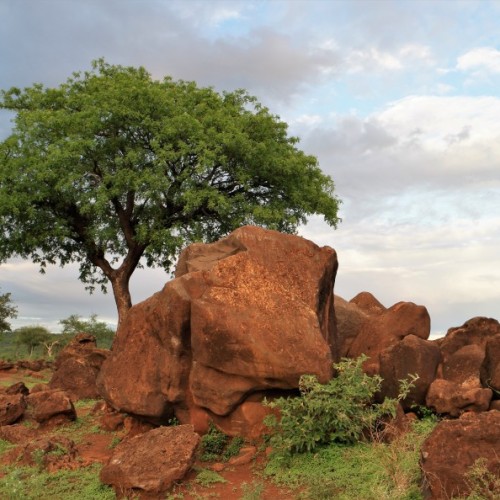 Viaggio in Etiopia