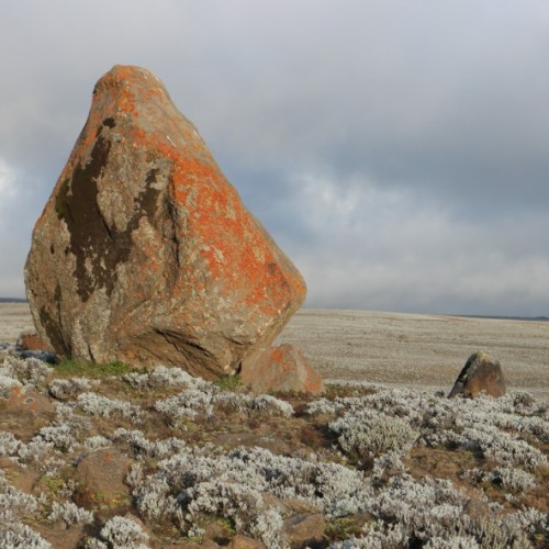 Viaggio in Etiopia