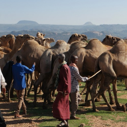 Etiopia viaggio