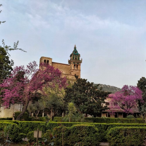 la Certosa di Valldemossa