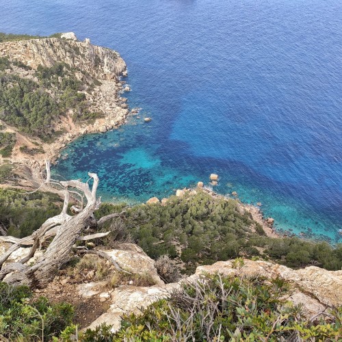 Cala en Basset dall