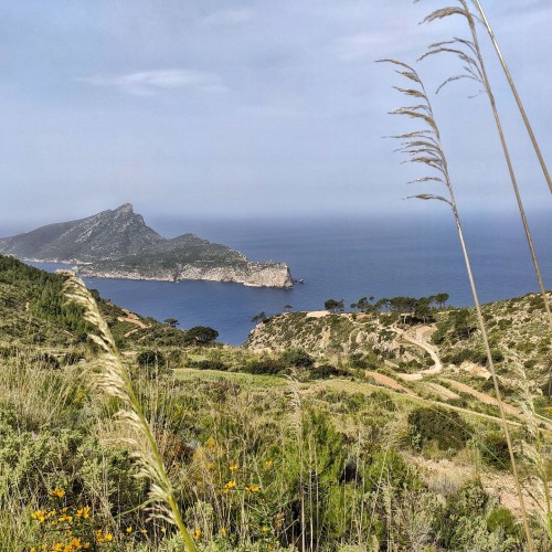 Illa de sa Dragonera da La Trapa