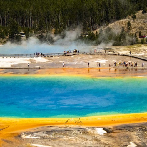 Yellowstone