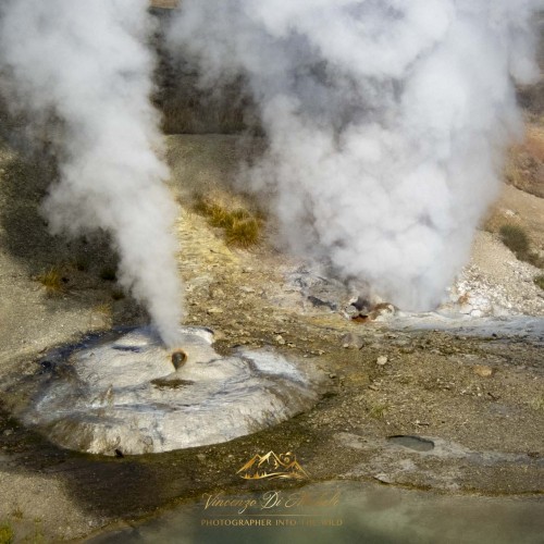 Yellowstone