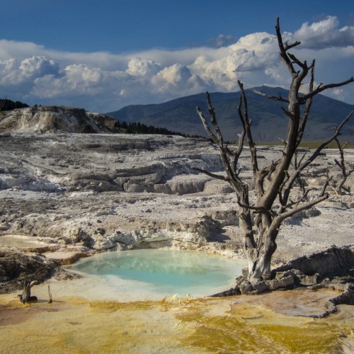 Yellowstone