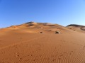 campo nel deserto