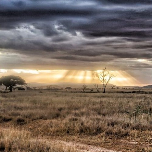 Kilimanjaro Rongai