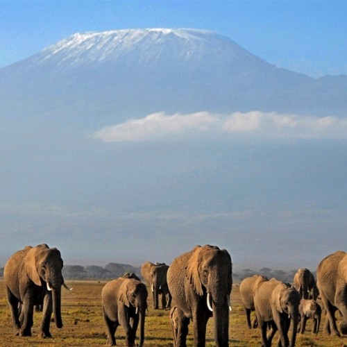 Kilimanjaro Rongai