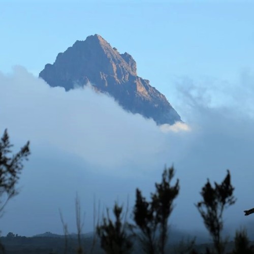 Kilimanjaro Rongai