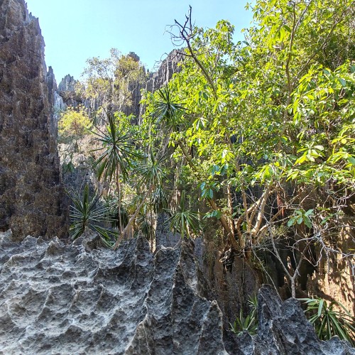 Tzingy di Beramaha