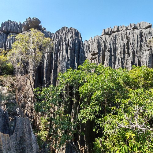 Tzingy di Beramaha