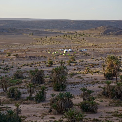 Campo 1 Fouka
