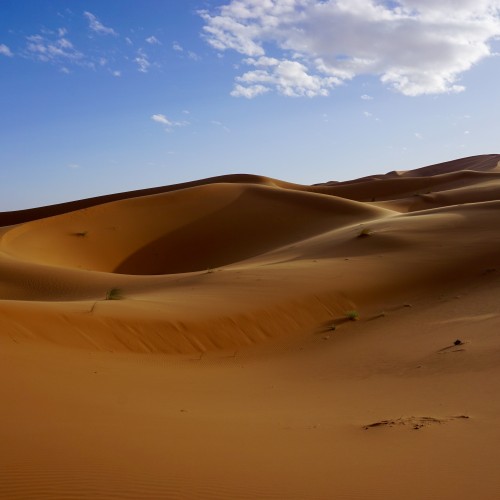 Erg Chebbi
