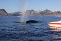 rainbow!