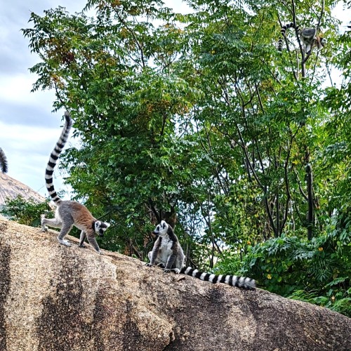 Madagascar Sud