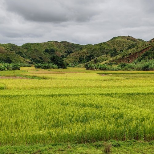 Madagascar Sud