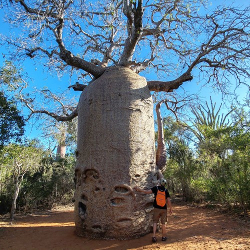 Madagascar Sud