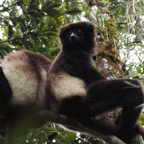 Madagascar Sud