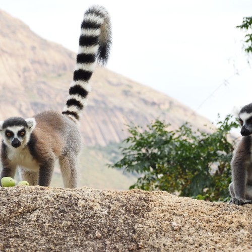 Madagascar Sud