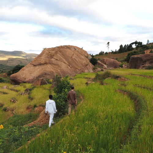 Madagascar Sud