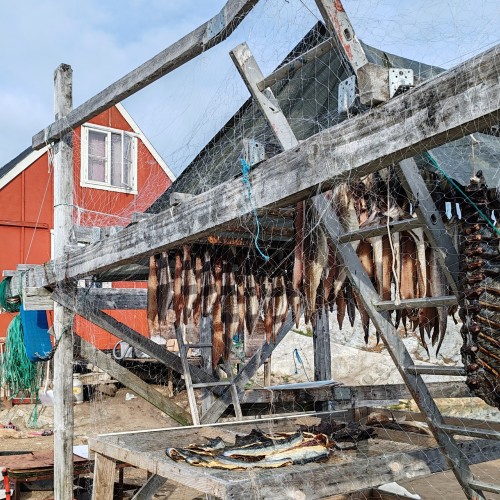 Groenlandia Trekking