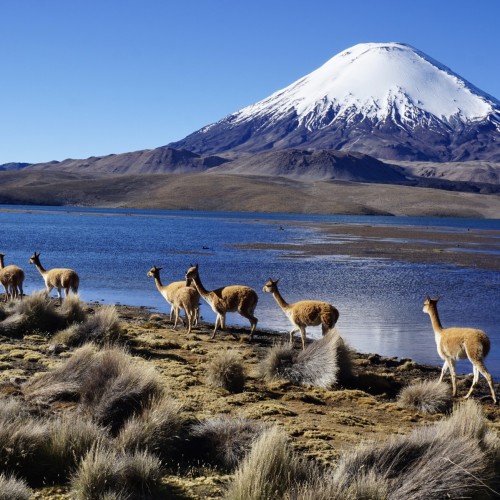 parinacota