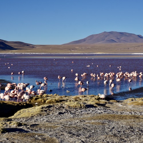 laguna colorata