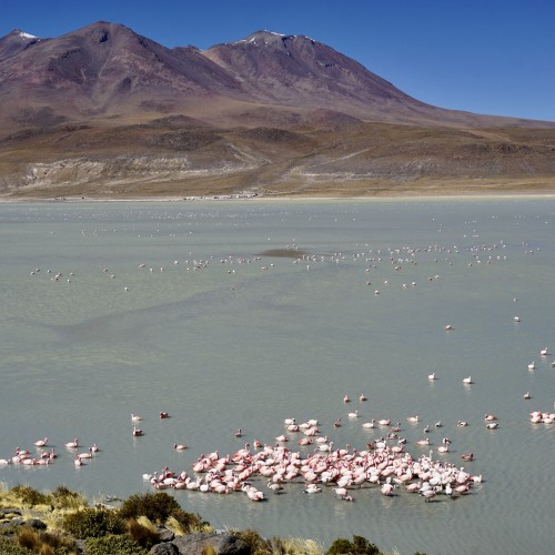 laguna - bolivia