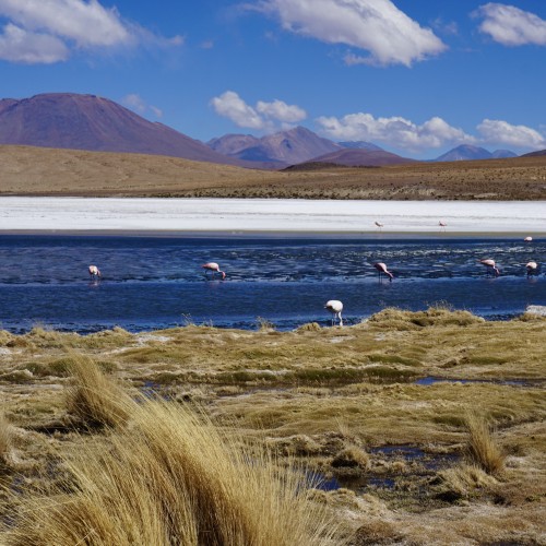 laguna - bolivia