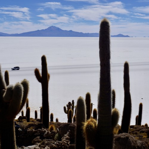 incahuasi