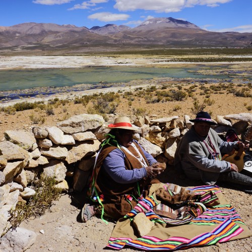 mauque - chile nord