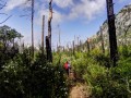 trek 2